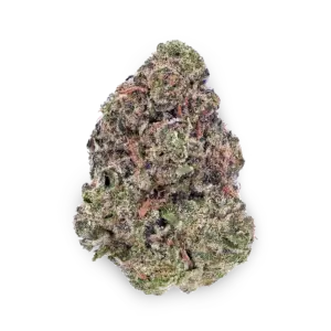 Hindu Kush
